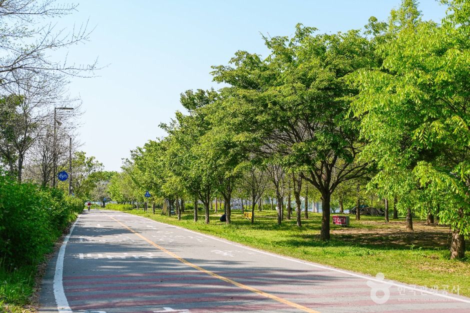 여의도한강공원